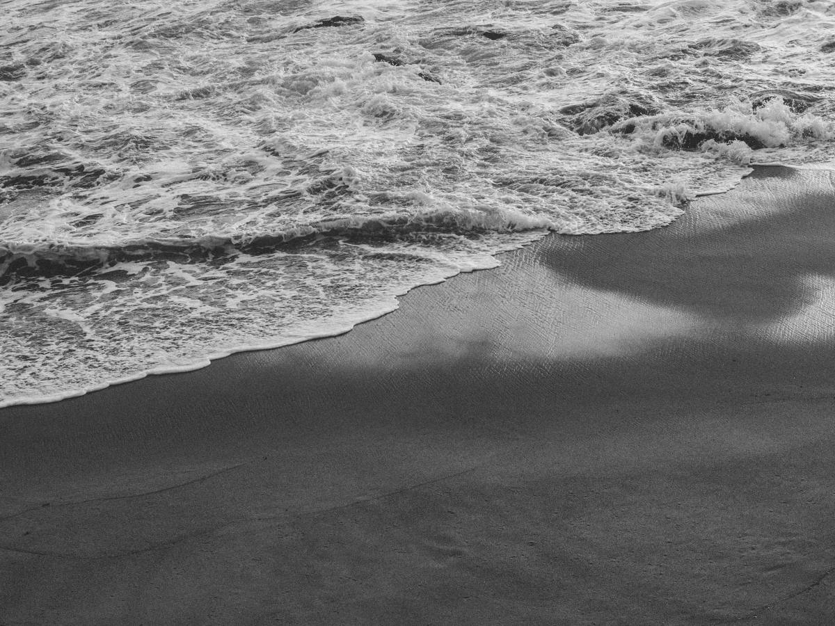 De la ropa al mar y del mar al&nbsp;plato